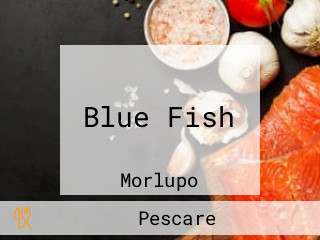 Blue Fish