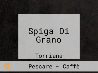 Spiga Di Grano