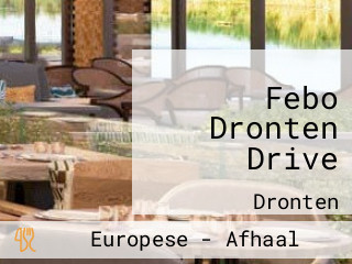 Febo Dronten Drive