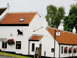 The Black Bull