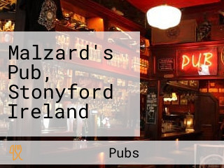 Malzard's Pub, Stonyford Ireland