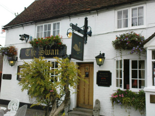 The Swan