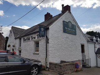 The Old Yew Tree