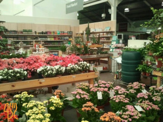 Telford Dobbies Garden Centre