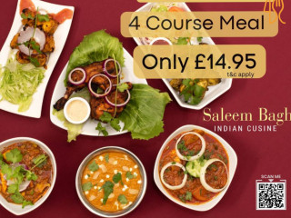 Saleem Bagh Indian Cuisine