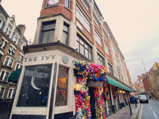 The Ivy