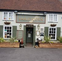 The Barleycorn