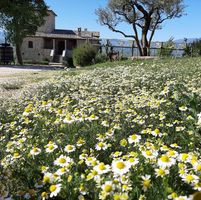 Agriturismo Torre Gialluise