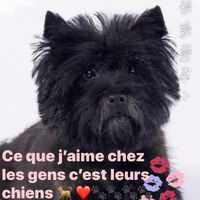 Popsy Toilettage Chiens Et Chats