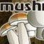 Mr Mushroom Man