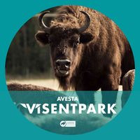 Avesta Visentpark