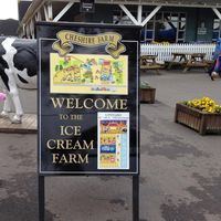 Tatton Hall Ice-cream Farm, Cheshire.
