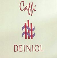 Caffi Deiniol, Deiniol Centre