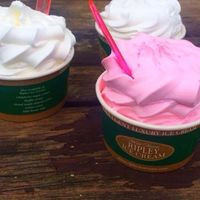 Ripley's Ice Cream