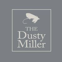 Dusty Miller Harlow