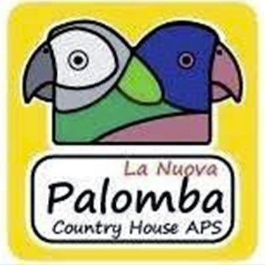 La Nuova Palomba Country House