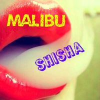 Malibu Shisha