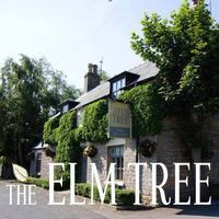 The Elm Tree At Elmton