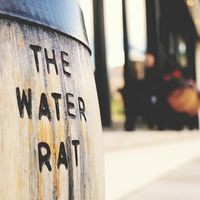 The Water Rat Public House And