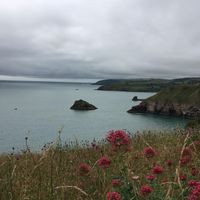 Berry Head Cliff Top