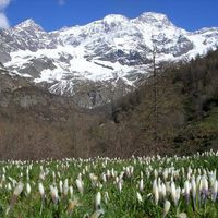 Rifugio Pastore Alagna