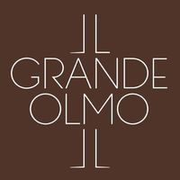 Il Grande Olmo