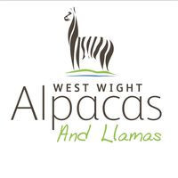 West Wight Alpacas And Llamas