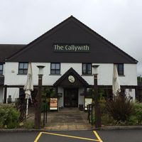 The Callywith