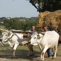 Agriturismo Da Anna&augusto