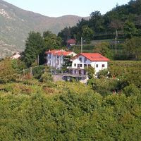 Agriturismo Il Castagno