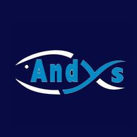 Andy's Chippy Langley Mill