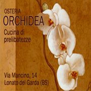 Osteria Orchidea