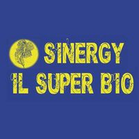 Sinergy Superbio &vegan Fast Food