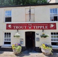 The Trout And Tipple Pub, Tavistock