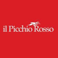 Picchio Rosso