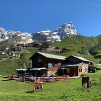 Bar Ristorante Les Skieurs D'antan