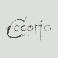 Cocomo Coffee Shop