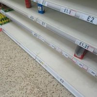 Tescos