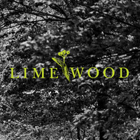 Lime Wood