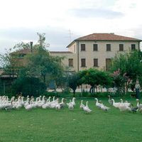 Agriturismo Da Noemi