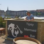 Tipsy Mermaid