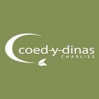 Coed-y-dinas (charlies)