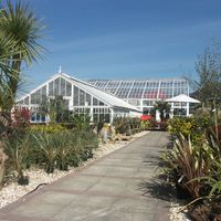 The Palm House