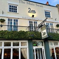 The Mute Swan