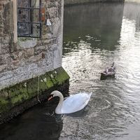 The Bishops Table Cafe- The Bishops Palace, Wells