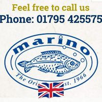 Marino Fish Sittingbourne