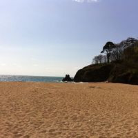 Venus Cafe Blackpool Sands