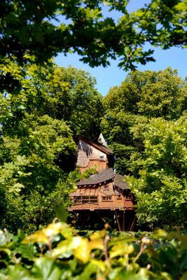 The Treehouse At The Alnwick Garden