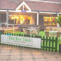 Bay Tree