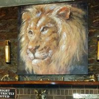 The Golden Lion